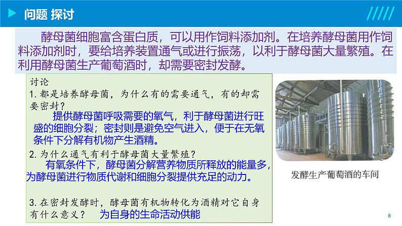 2024-2025人教版(2019)生物必修1《分子与细胞》课件PPT5细胞的能量供应和利用-5.3细胞呼吸的原理和应用第8页