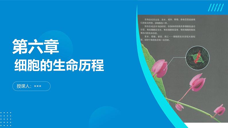 2024-2025人教版(2019)生物必修1《分子与细胞》课件PPT6细胞的生命历程-6.1细胞的增殖第1页