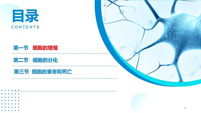 2024-2025人教版(2019)生物必修1《分子与细胞》课件PPT6细胞的生命历程-6.1细胞的增殖第3页