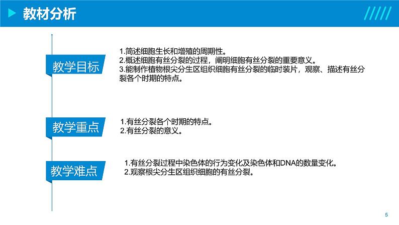 2024-2025人教版(2019)生物必修1《分子与细胞》课件PPT6细胞的生命历程-6.1细胞的增殖第5页