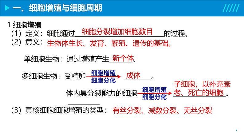 2024-2025人教版(2019)生物必修1《分子与细胞》课件PPT6细胞的生命历程-6.1细胞的增殖第7页