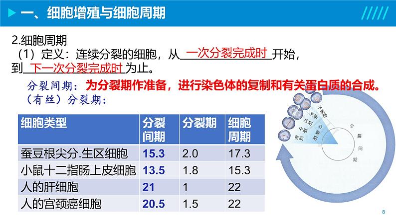 2024-2025人教版(2019)生物必修1《分子与细胞》课件PPT6细胞的生命历程-6.1细胞的增殖第8页