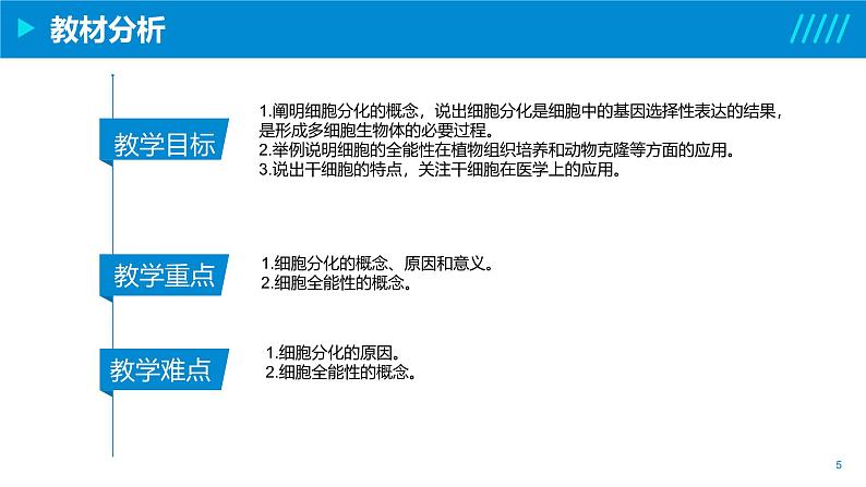 2024-2025人教版(2019)生物必修1《分子与细胞》课件PPT6细胞的生命历程-6.2细胞的分化第5页