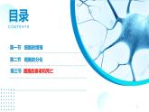 2024-2025人教版(2019)生物必修1《分子与细胞》课件PPT6细胞的生命历程-6.3细胞的衰老和死亡