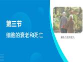 2024-2025人教版(2019)生物必修1《分子与细胞》课件PPT6细胞的生命历程-6.3细胞的衰老和死亡