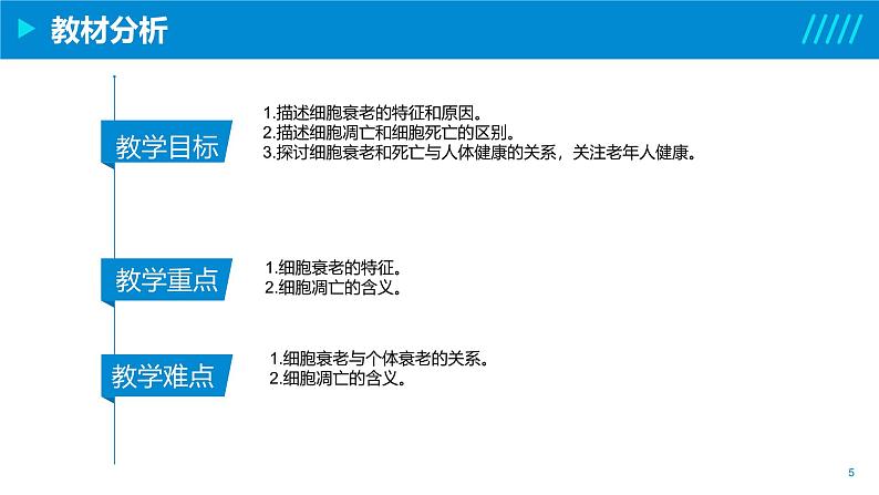 2024-2025人教版(2019)生物必修1《分子与细胞》课件PPT6细胞的生命历程-6.3细胞的衰老和死亡第5页