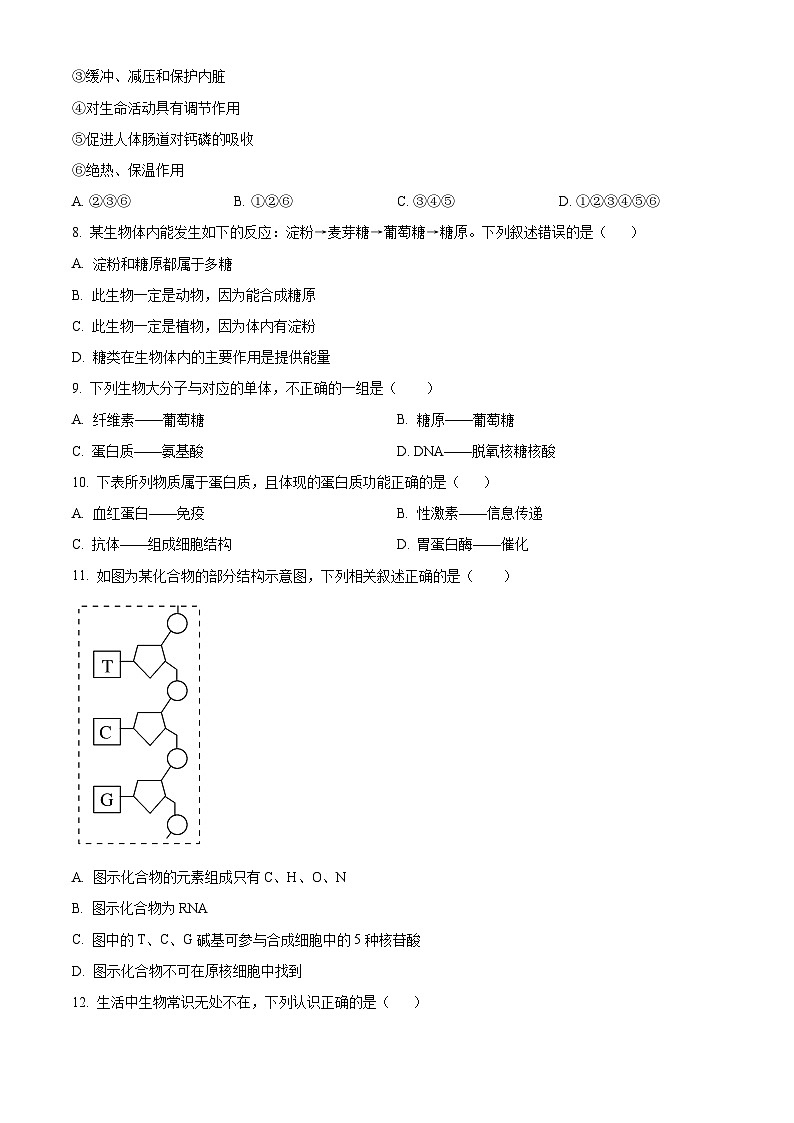 天津市红桥区2024-2025学年高一上学期期中考试生物试题（Word版附解析）02