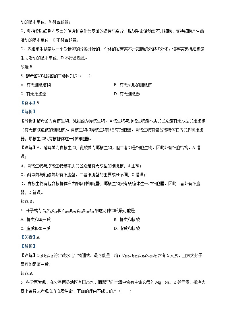 天津市红桥区2024-2025学年高一上学期期中考试生物试题（Word版附解析）02