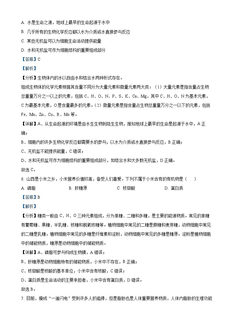 天津市红桥区2024-2025学年高一上学期期中考试生物试题（Word版附解析）03