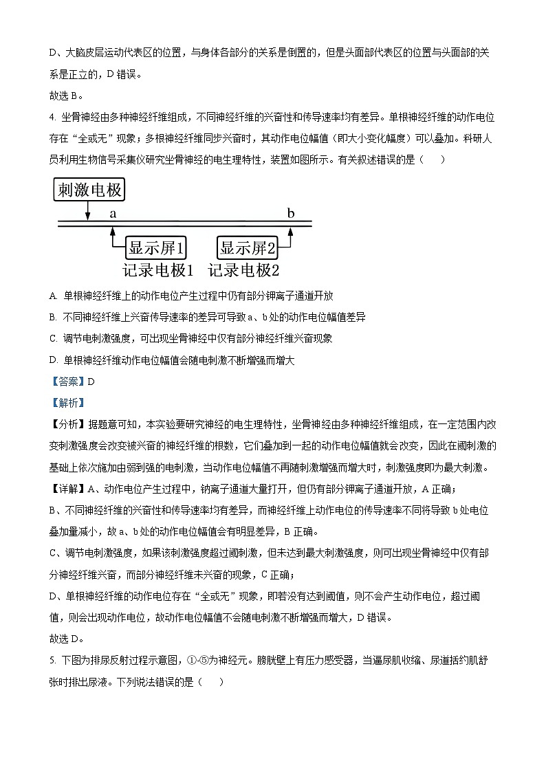 江苏省扬州市江都区2024-2025学年高二上学期11月期中生物试题  Word版含解析第3页