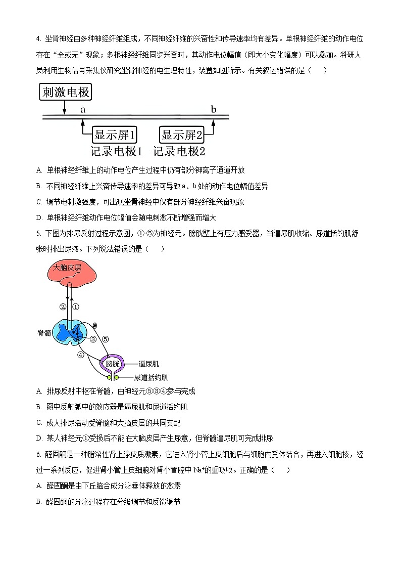 江苏省扬州市江都区2024-2025学年高二上学期11月期中生物试题  Word版无答案第2页