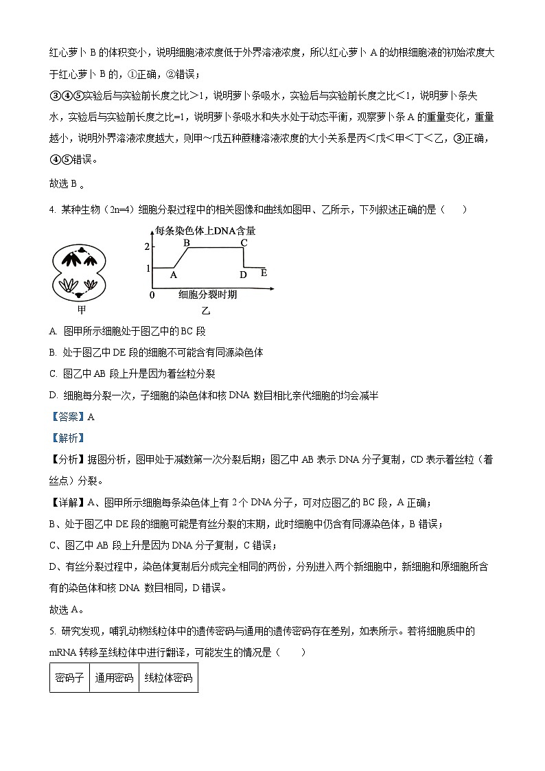 湖南省多校联考2024-2025学年高二上学期11月期中考试生物试题 Word版含解析第3页
