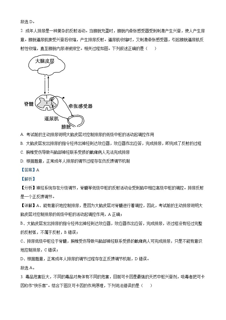 河北省张家口市2024-2025学年高二上学期期中考试生物试题（Word版附解析）02