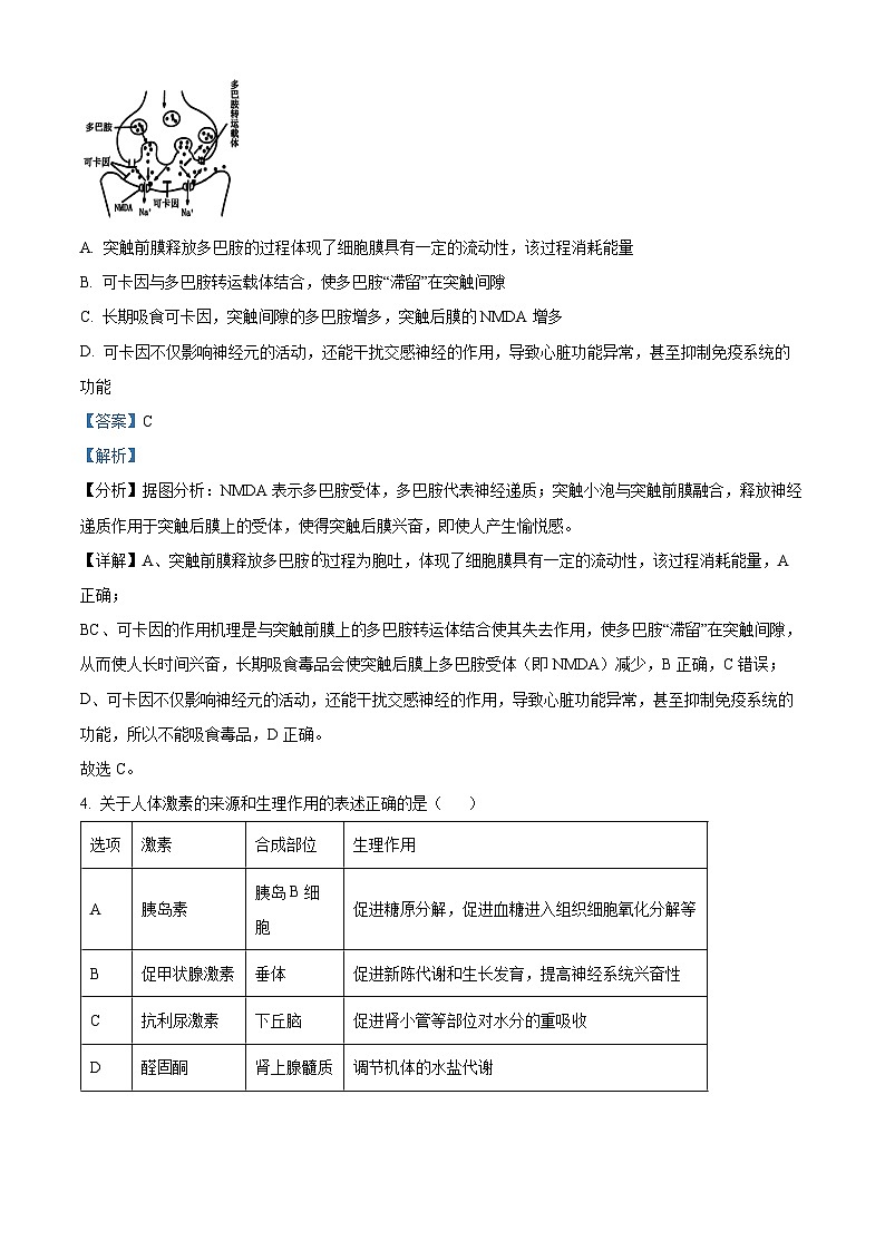 河北省张家口市2024-2025学年高二上学期期中考试生物试题（Word版附解析）03