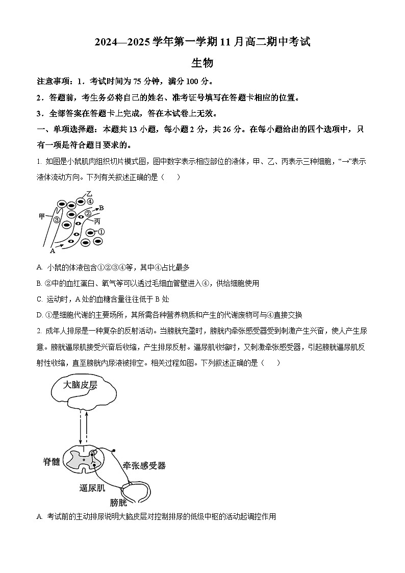 河北省张家口市2024-2025学年高二上学期期中考试生物试题（Word版附解析）01