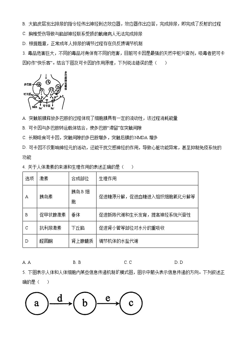 河北省张家口市2024-2025学年高二上学期期中考试生物试题（Word版附解析）02