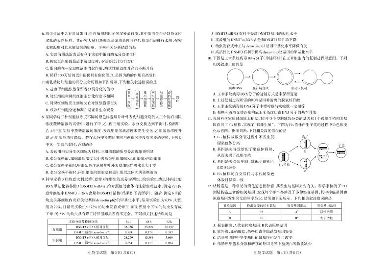 山西省思而行2024-2025学年高三上学期11月月考生物试题第2页