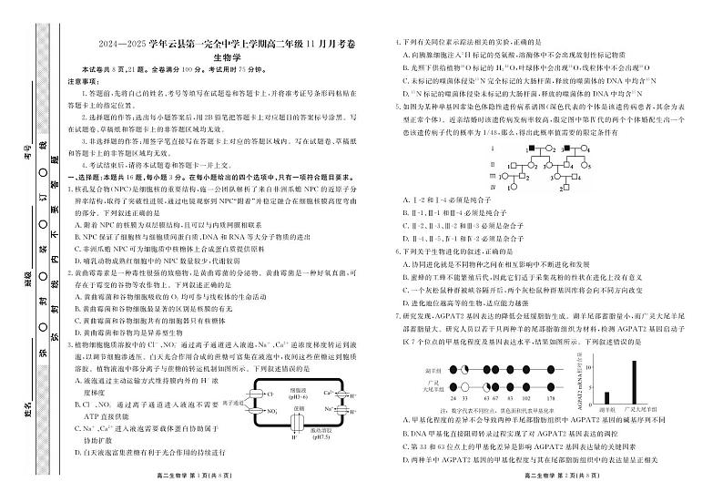 云南省云县第一完全中学2024-2025学年高二上学期期中检测生物试题第1页