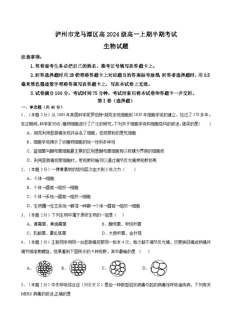四川省泸州市龙马潭区2024-2025学年高一上学期11月期中生物试题第1页