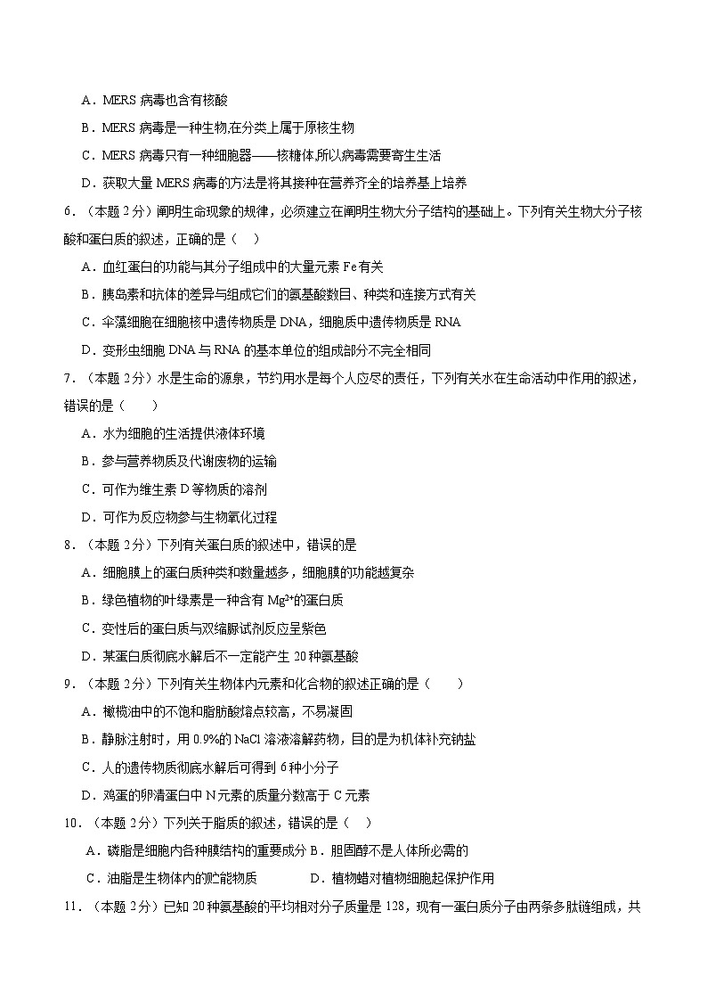 四川省泸州市龙马潭区2024-2025学年高一上学期11月期中生物试题第2页