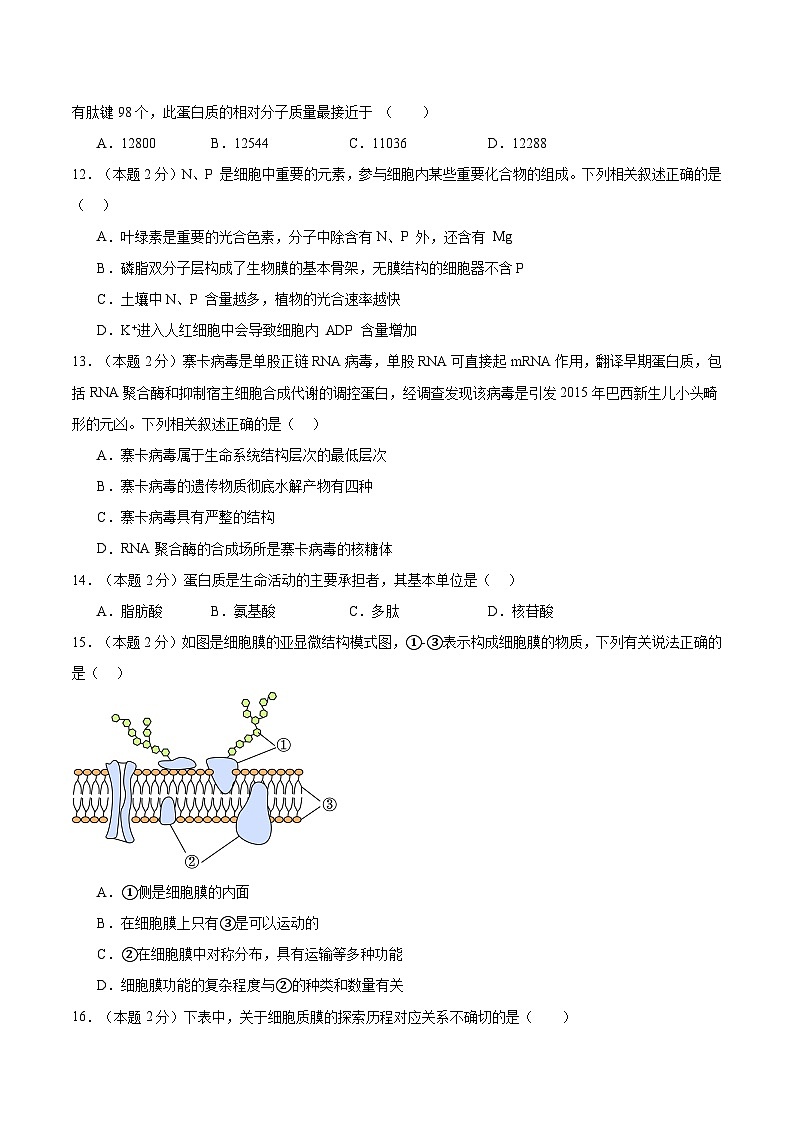 四川省泸州市龙马潭区2024-2025学年高一上学期11月期中生物试题第3页