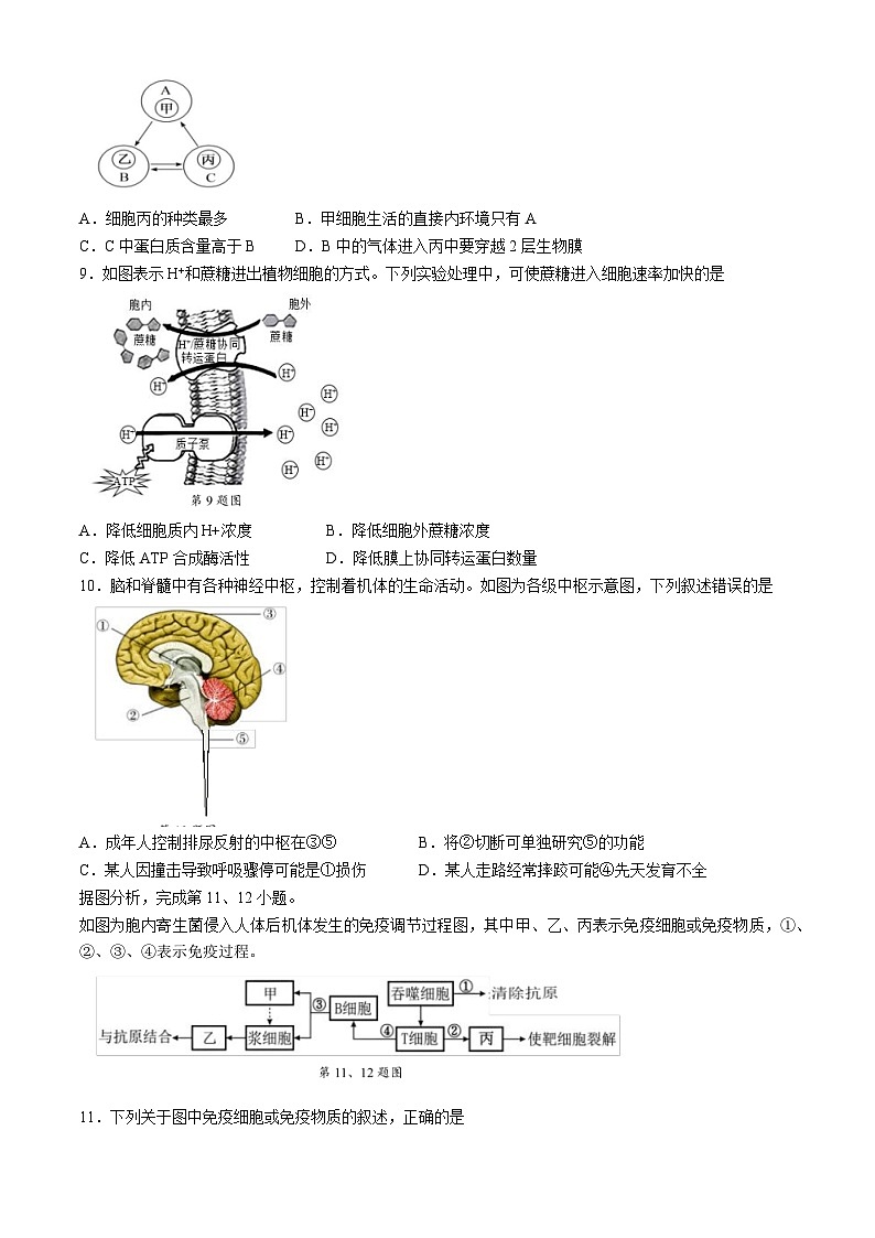 浙江省91高中联盟2024-2025学年高二上学期11月期中考试生物试题（Word版附答案）第2页
