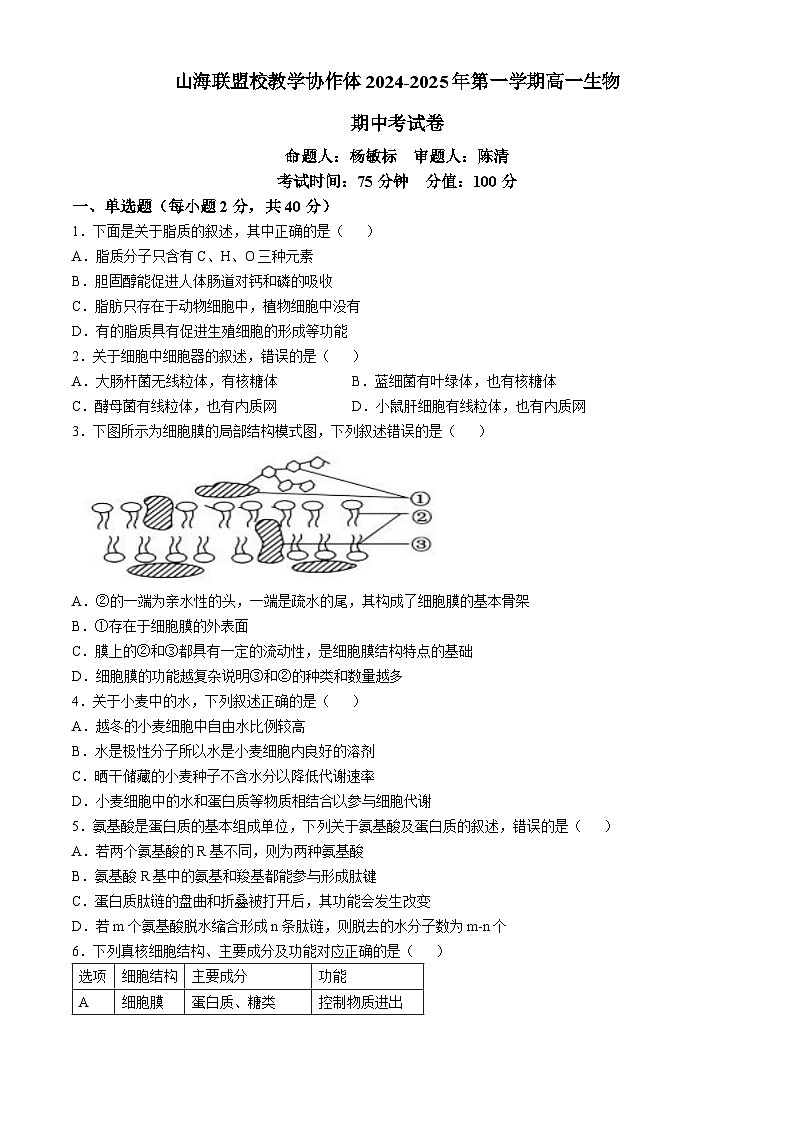福建省福州市山海联盟教学协作体2024-2025学年高一上学期11月期中生物试题第1页