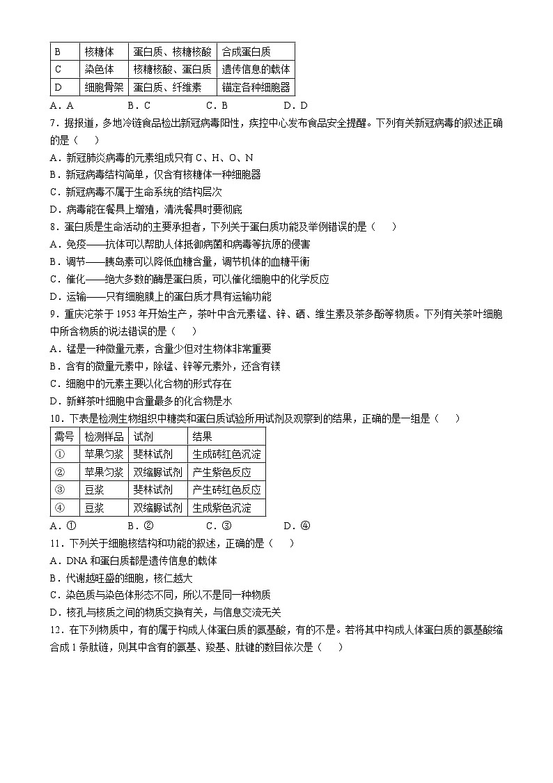 福建省福州市山海联盟教学协作体2024-2025学年高一上学期11月期中生物试题第2页