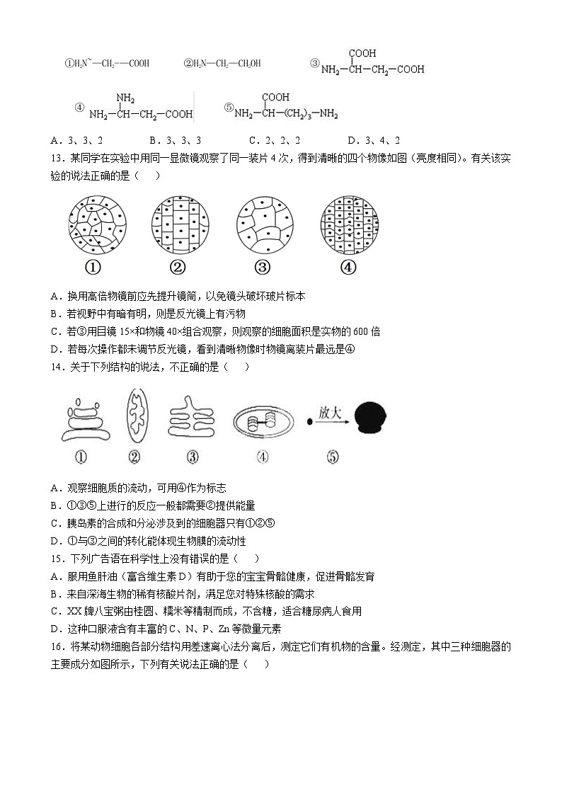 福建省福州市山海联盟教学协作体2024-2025学年高一上学期11月期中生物试题第3页