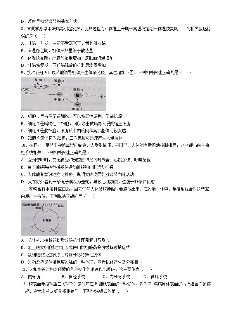 辽宁省铁岭市西丰县第二高级中学2024-2025学年高二上学期11月期中生物试题(无答案)第2页