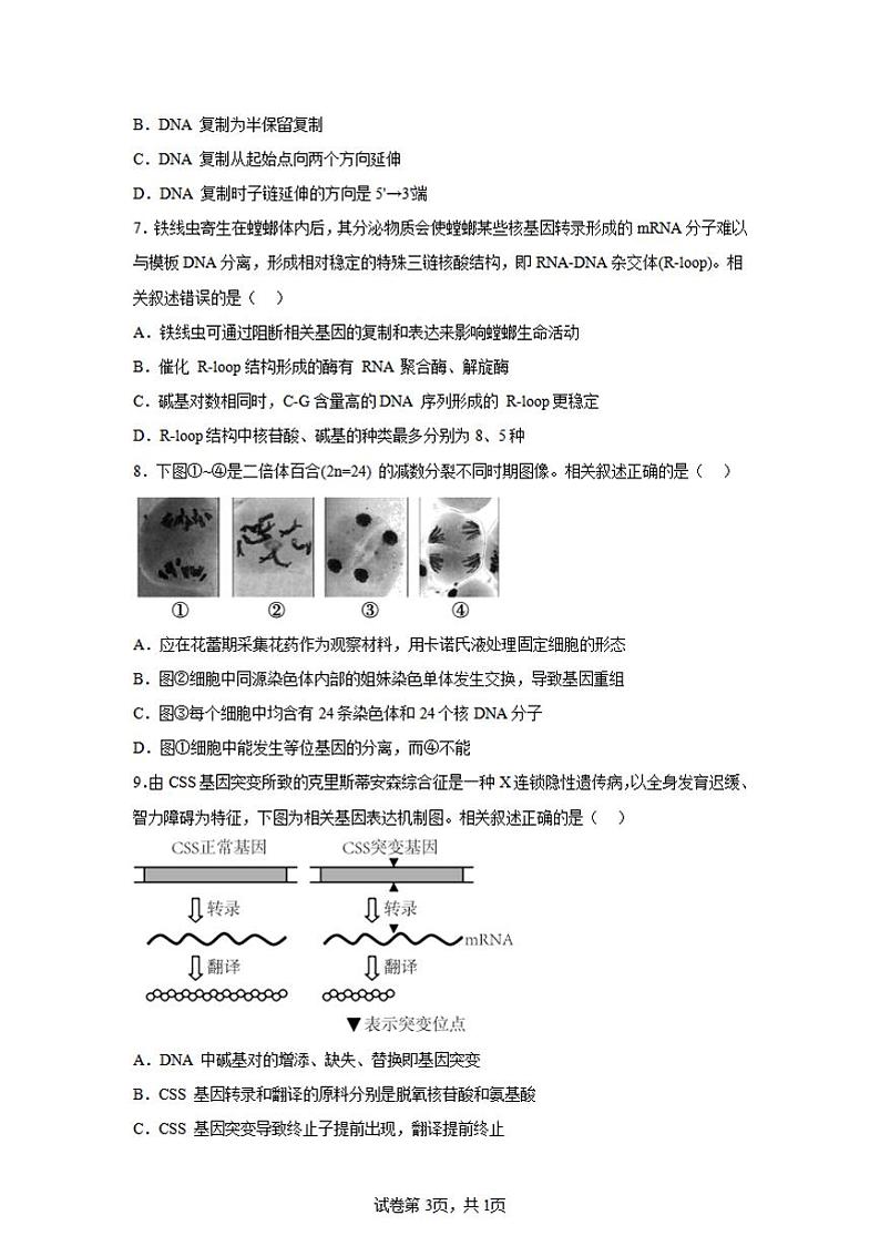 2025届江苏省南京一中、金陵中学、南通海安中学高三上学期11月期中考-生物试卷+答案第3页