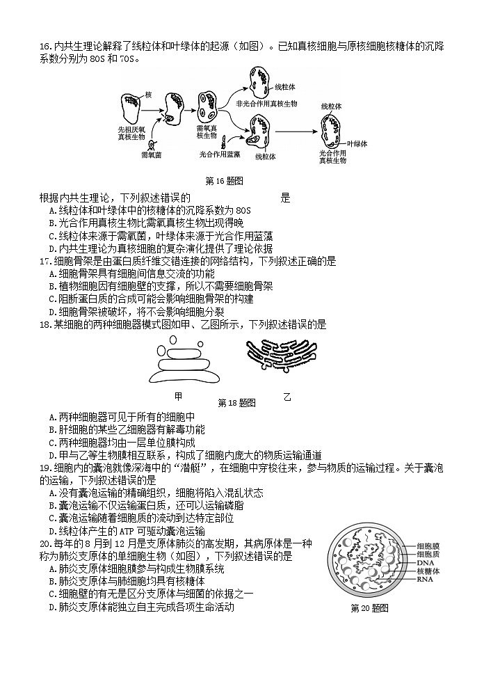 高一生物试题第3页
