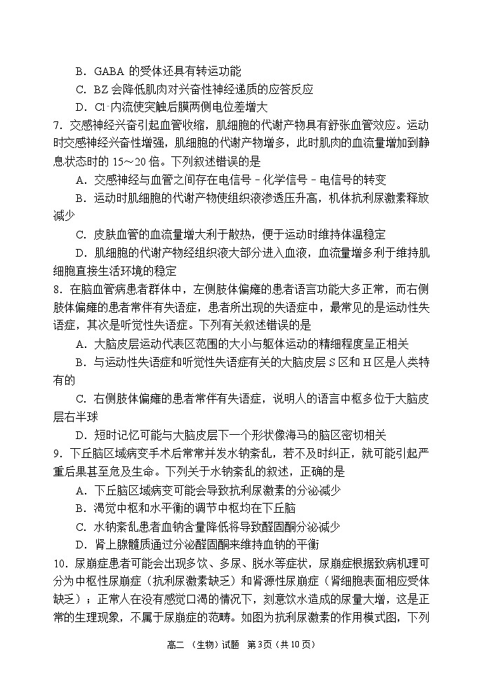 河南省郑州市第一中学2024-2025学年高二上学期期中考试生物试卷第3页