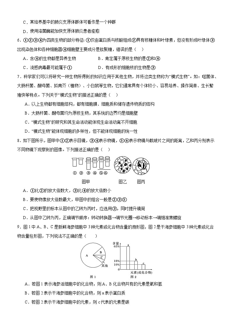重庆市城口中学校2024-2025学年高一上学期期中考试生物试题第2页