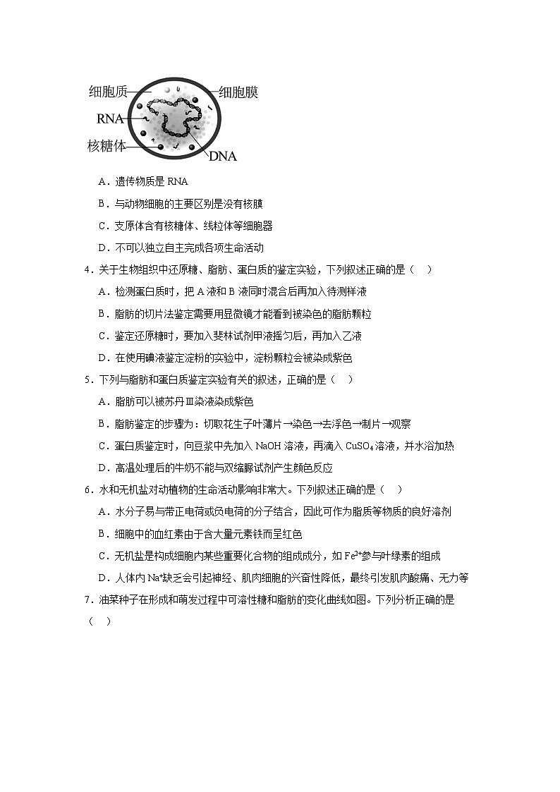 江西省上饶市弋阳县第二中学2024-2025学年高一上学期11月生物学检测试题第2页