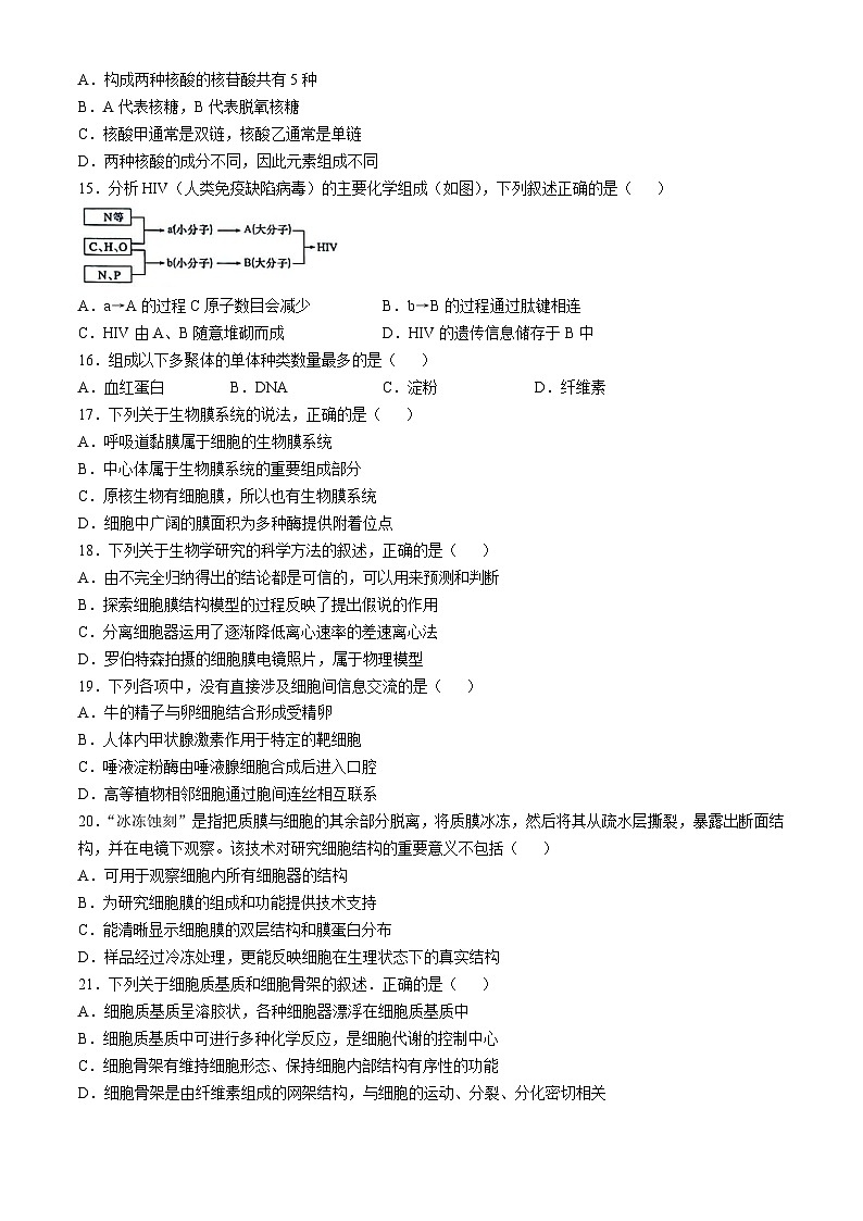 福建省福州市闽侯县第六中学2024-2025学年高一上学期期中质量检测生物试卷(无答案)第3页