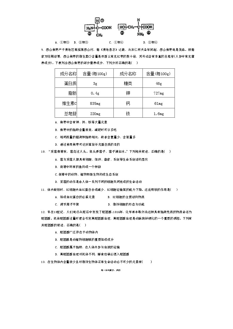 福建省福州市闽侯二中2024-2025学年高一上学期期中考试生物试卷第2页