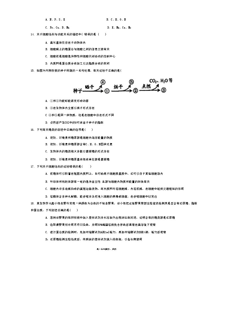 福建省福州市闽侯二中2024-2025学年高一上学期期中考试生物试卷第3页