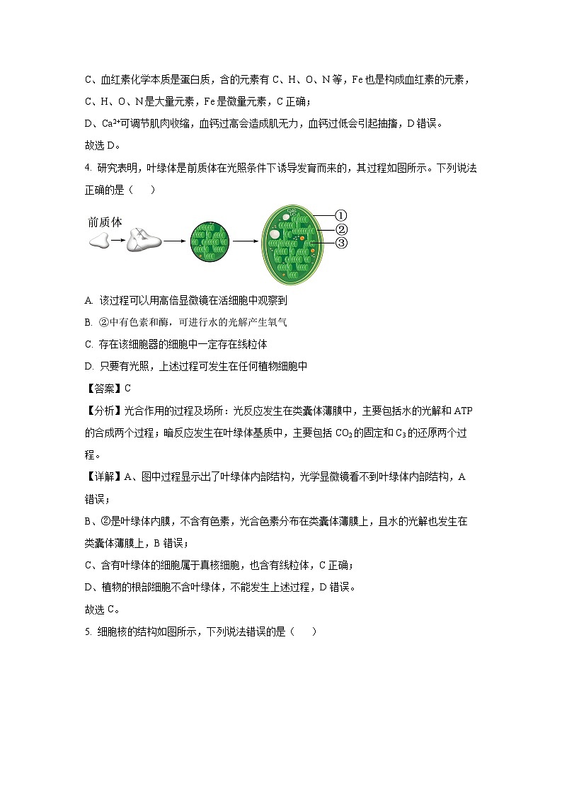 2023-2024学年山东省滨州市高一(上)1月期末生物试卷（解析版）03