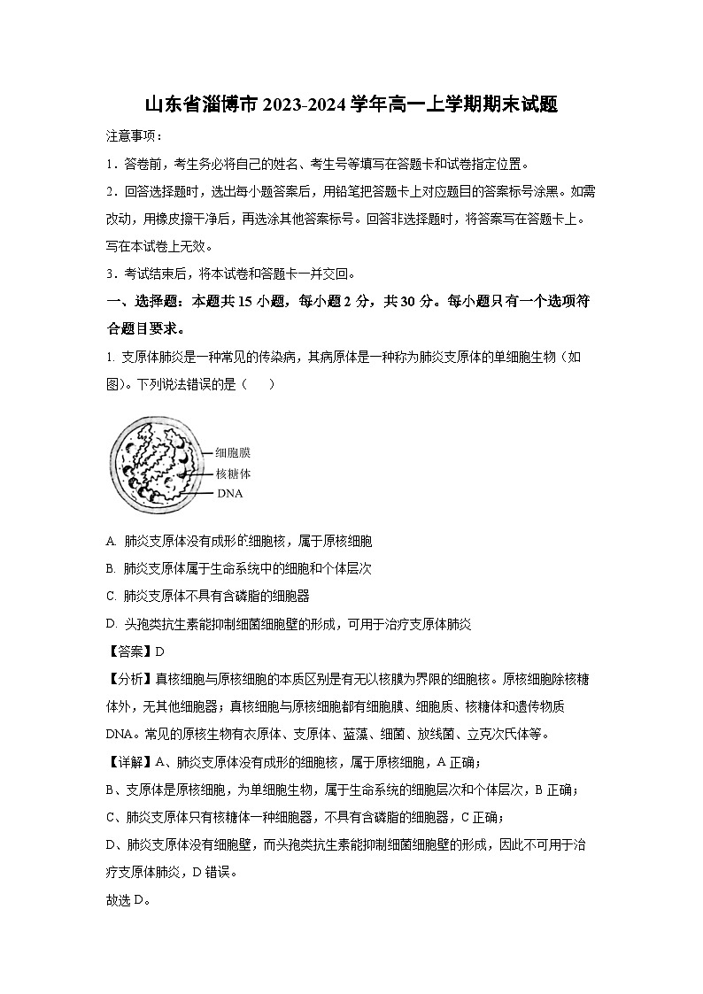 2023-2024学年山东省淄博市高一(上)期末生物试卷（解析版）01