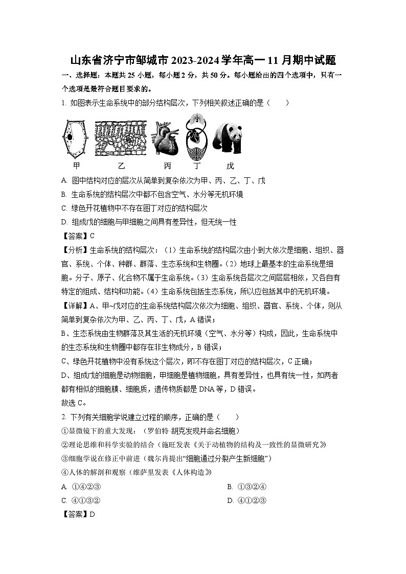 2023-2024学年山东省济宁市邹城市高一(上)11月期中生物试卷（解析版）第1页