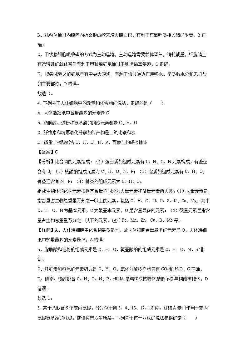 2023-2024学年山东省青岛市高一(上)1月选科测试生物试卷（解析版）第3页