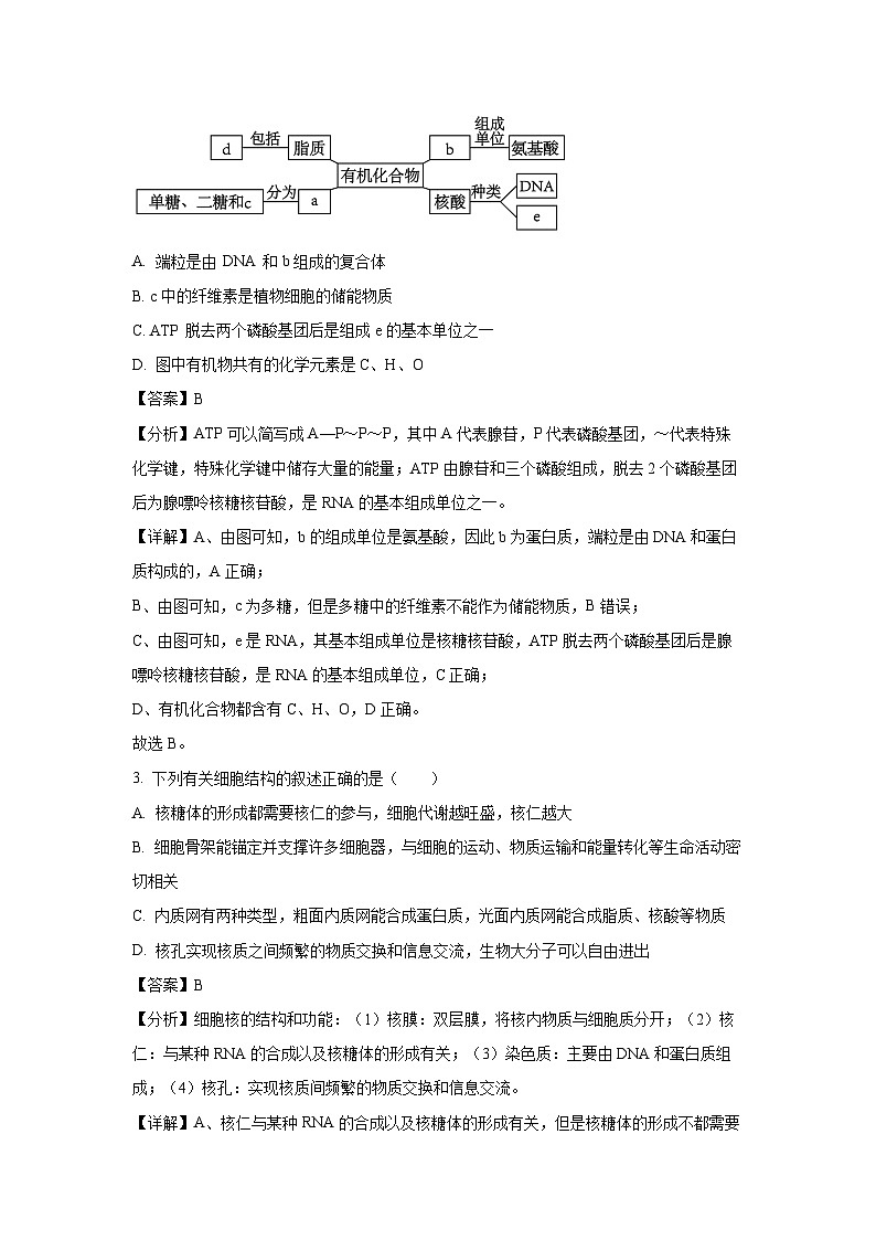 2023-2024学年山东省菏泽市高一(上)1月期末生物试卷（解析版）第2页