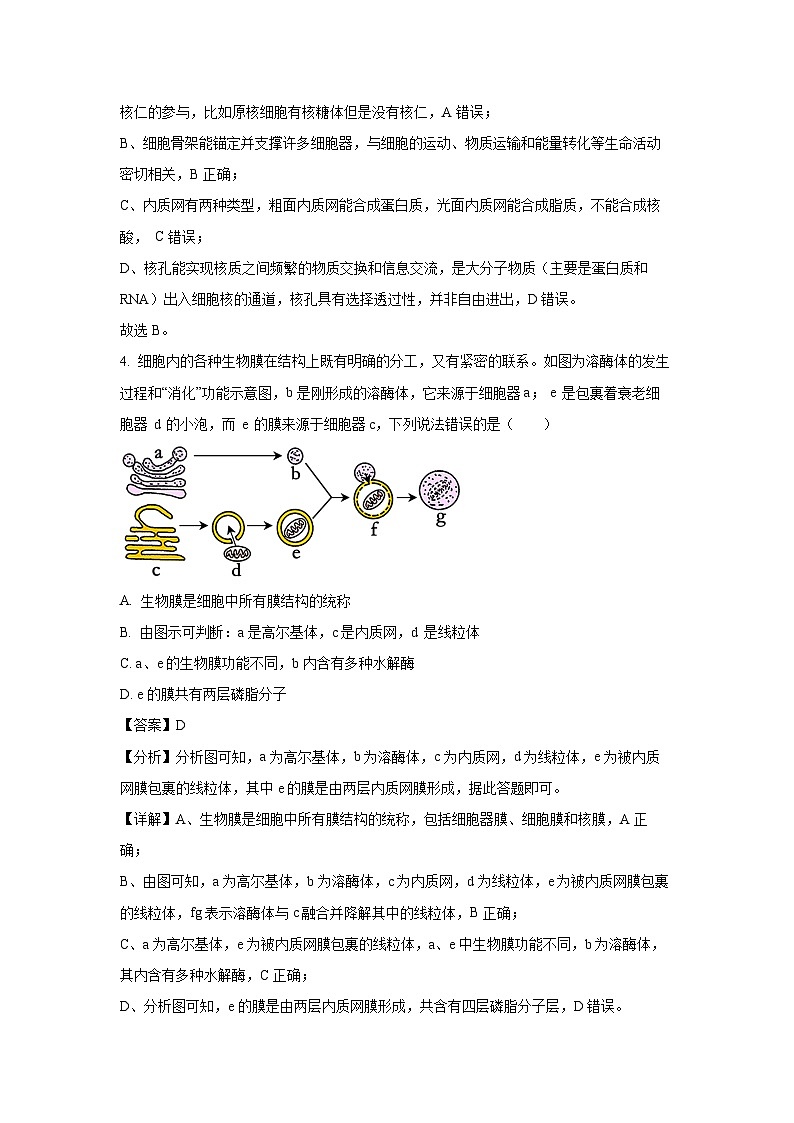 2023-2024学年山东省菏泽市高一(上)1月期末生物试卷（解析版）第3页