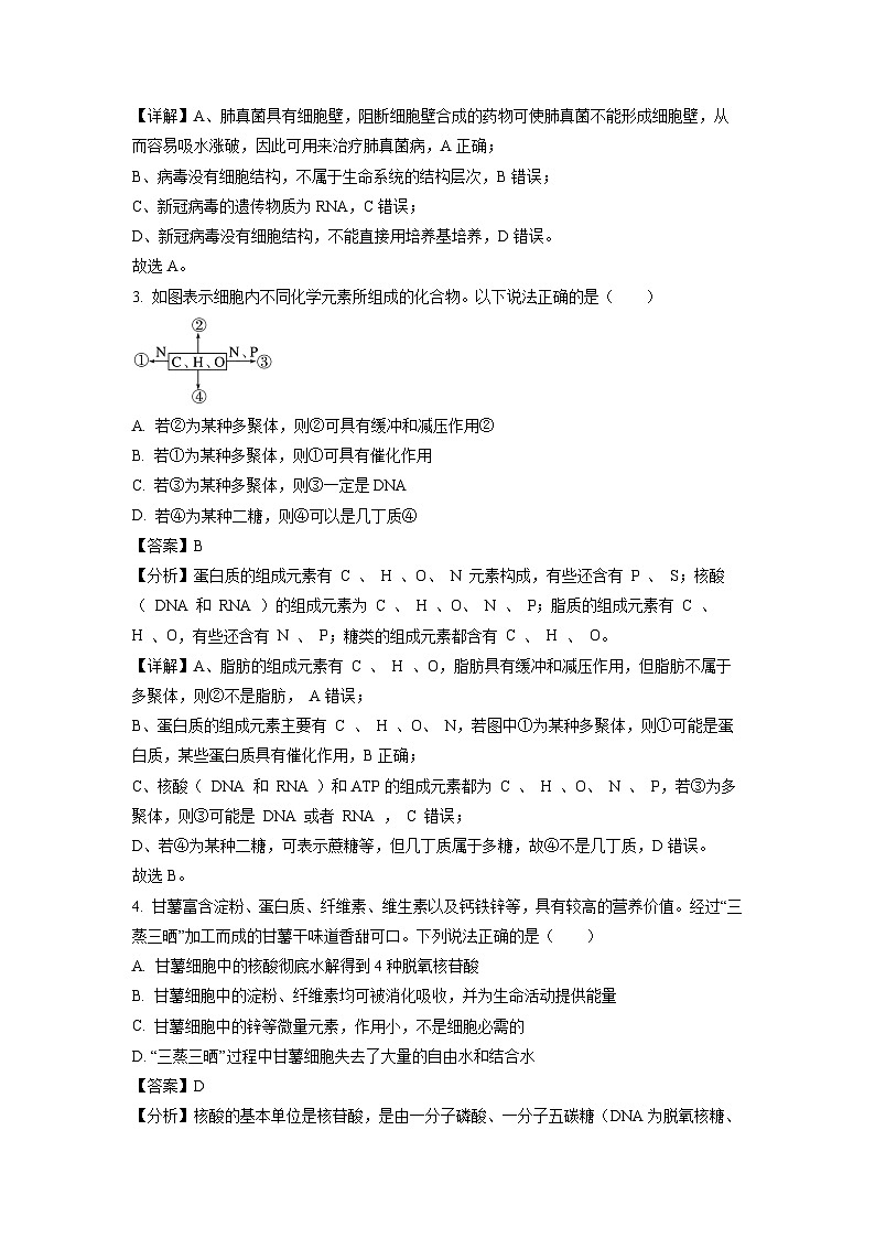 2023-2024学年山东省聊城市高一(上)11月期中生物试卷（解析版）02