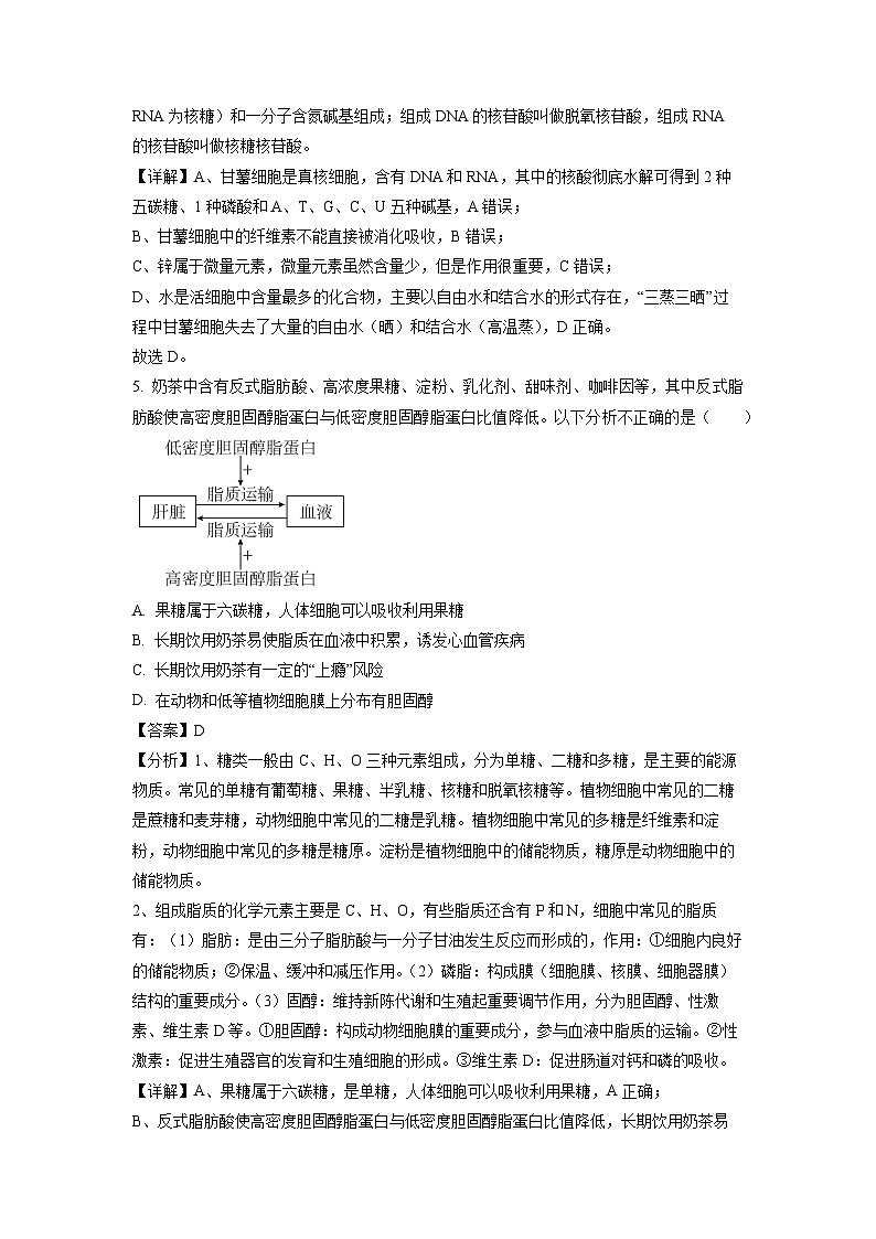 2023-2024学年山东省聊城市高一(上)11月期中生物试卷（解析版）03