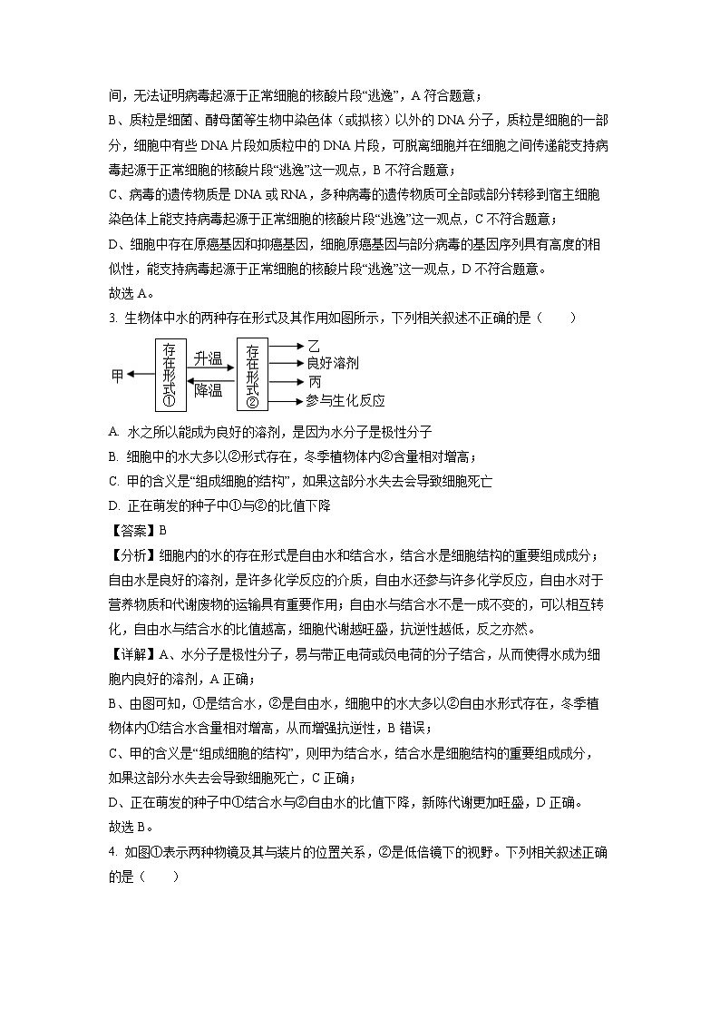2023-2024学年山东省泰安市肥城市高一(上)11月期中生物试卷（解析版）第2页