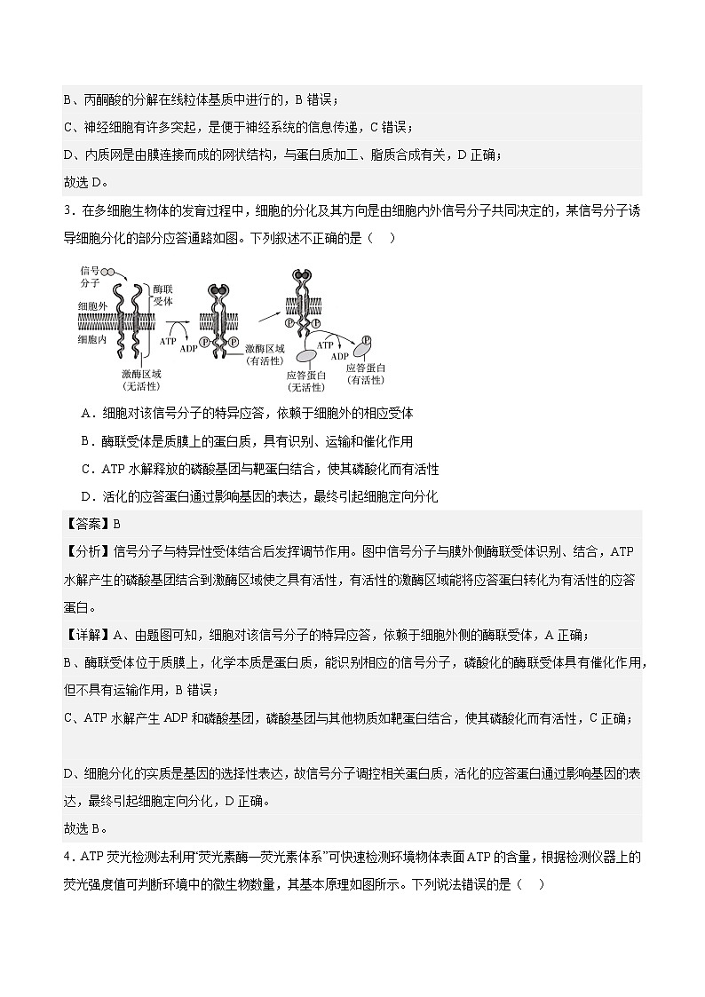 南京市协同体七校2024-2025学年第一学期期中联合考试-解析版第2页