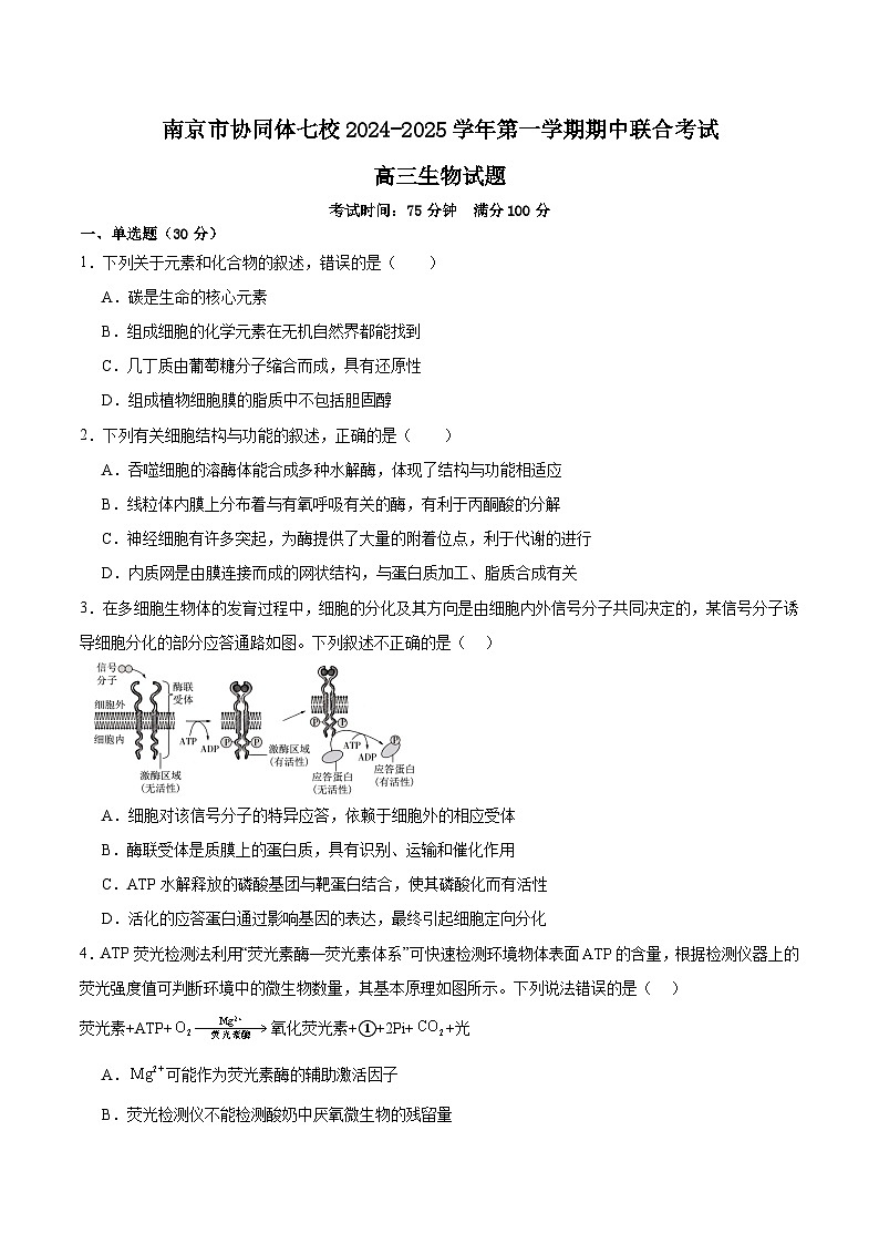 江苏省南京市协同体七校2024-2025学年高三上学期期中联合考试生物试题第1页