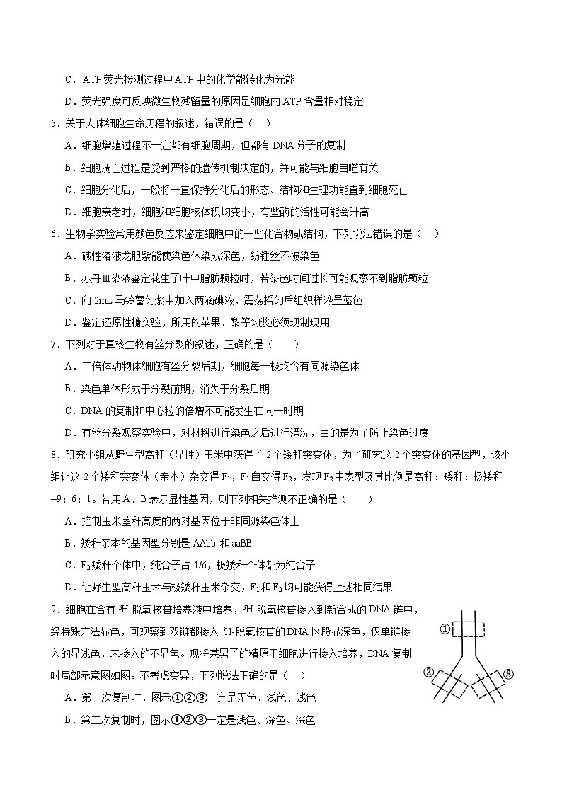 江苏省南京市协同体七校2024-2025学年高三上学期期中联合考试生物试题第2页